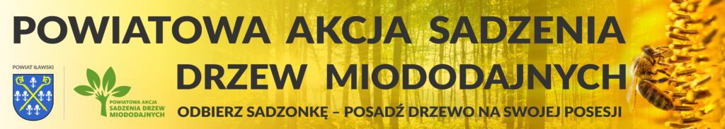 baner drzewa miododajne