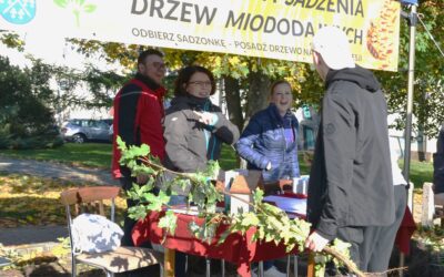 Powiatowa Akcja: Rozdaliśmy około 700 drzew miododajnych!