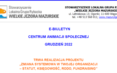 Polecamy lekturę wydania e- biuletynu skierowaną do organizacji pozarządowych