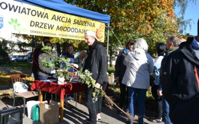 Rusza trzecia edycja Powiatowej Akcji Sadzenia Drzew Miododajnych. Pierwsze spotkanie w Iławie już w poniedziałek 2 października!