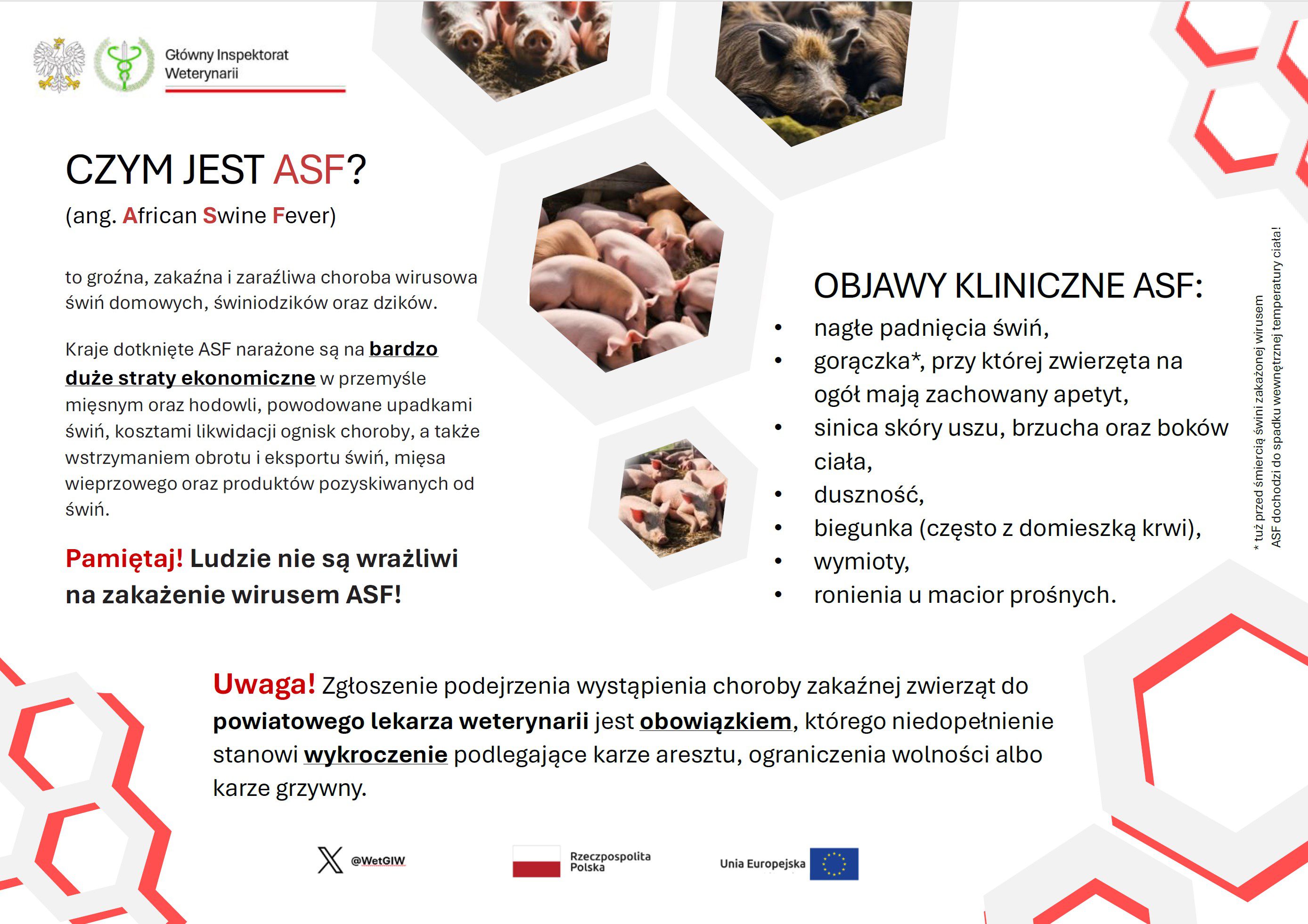 ASF i pryszczyca – Powiatowy Lekarz Weterynarii apeluje do hodowców