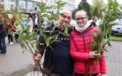 Rozchwytywano dziś sadzonki lipy, jarzębiny, krzewuszki i ligustry. Ruszyła właśnie V Powiatowa Akcja Sadzenia Drzew Miododajnych!